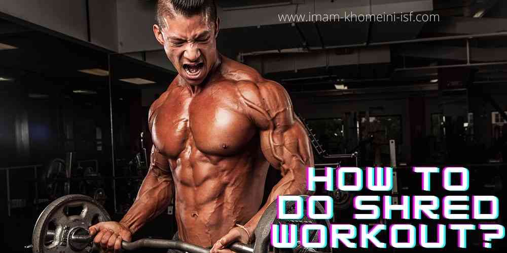 What is shred workout? Pro’s and Con’s Described! – Imam Khomeini isf