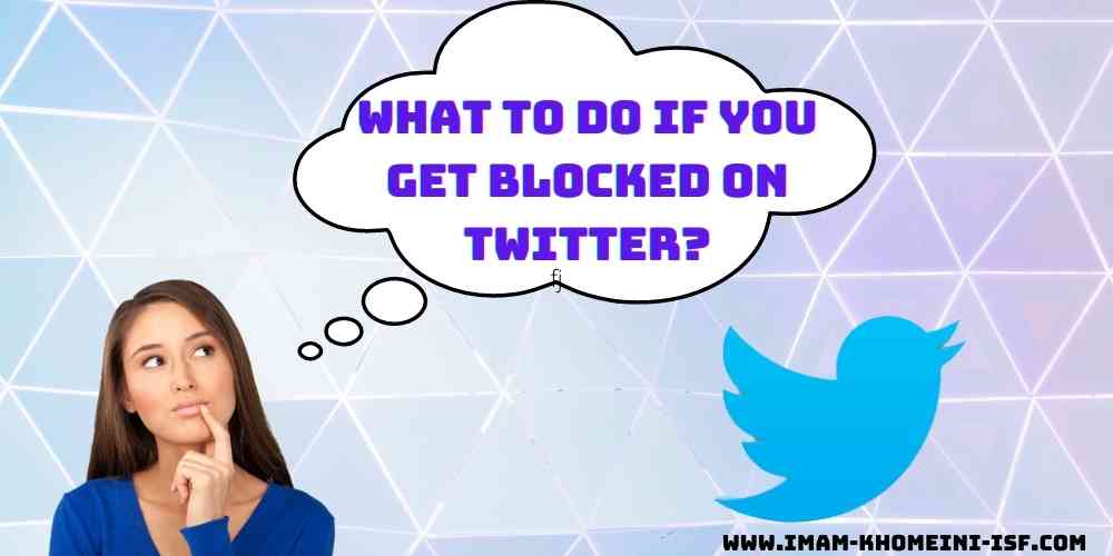 What to do if you get blocked on Twitter